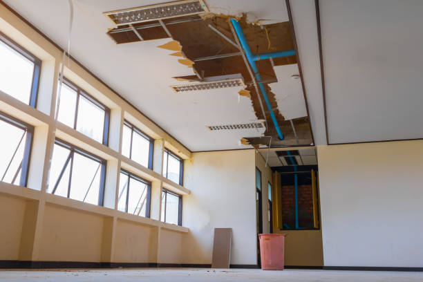 Best Basement water damage restoration  in Jackson, MO
