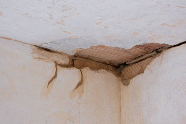 Best Residential water damage restoration  in Jackson, MO
