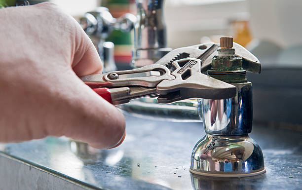 Best Water damage cleanup near me  in Jackson, MO
