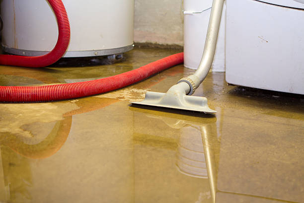 Best Water damage restoration near me  in Jackson, MO