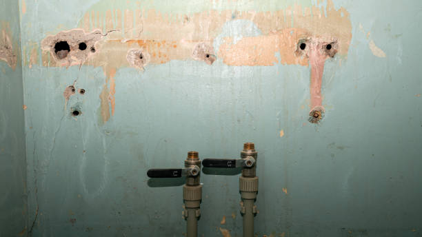 Best Commercial water damage restoration  in Jackson, MO