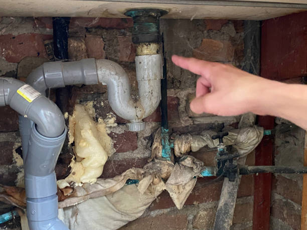 Best Flood damage cleanup  in Jackson, MO