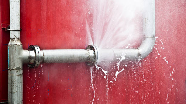 Best Water damage contractors near me  in Jackson, MO